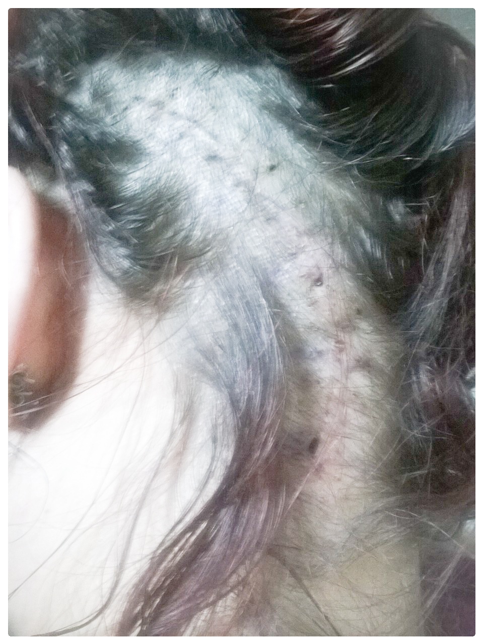 Photo 24.1.2014 13.05.44 (1)