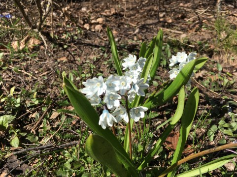 2017-05-03 16.34.28-1