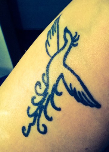 WP_20151228_007_edited