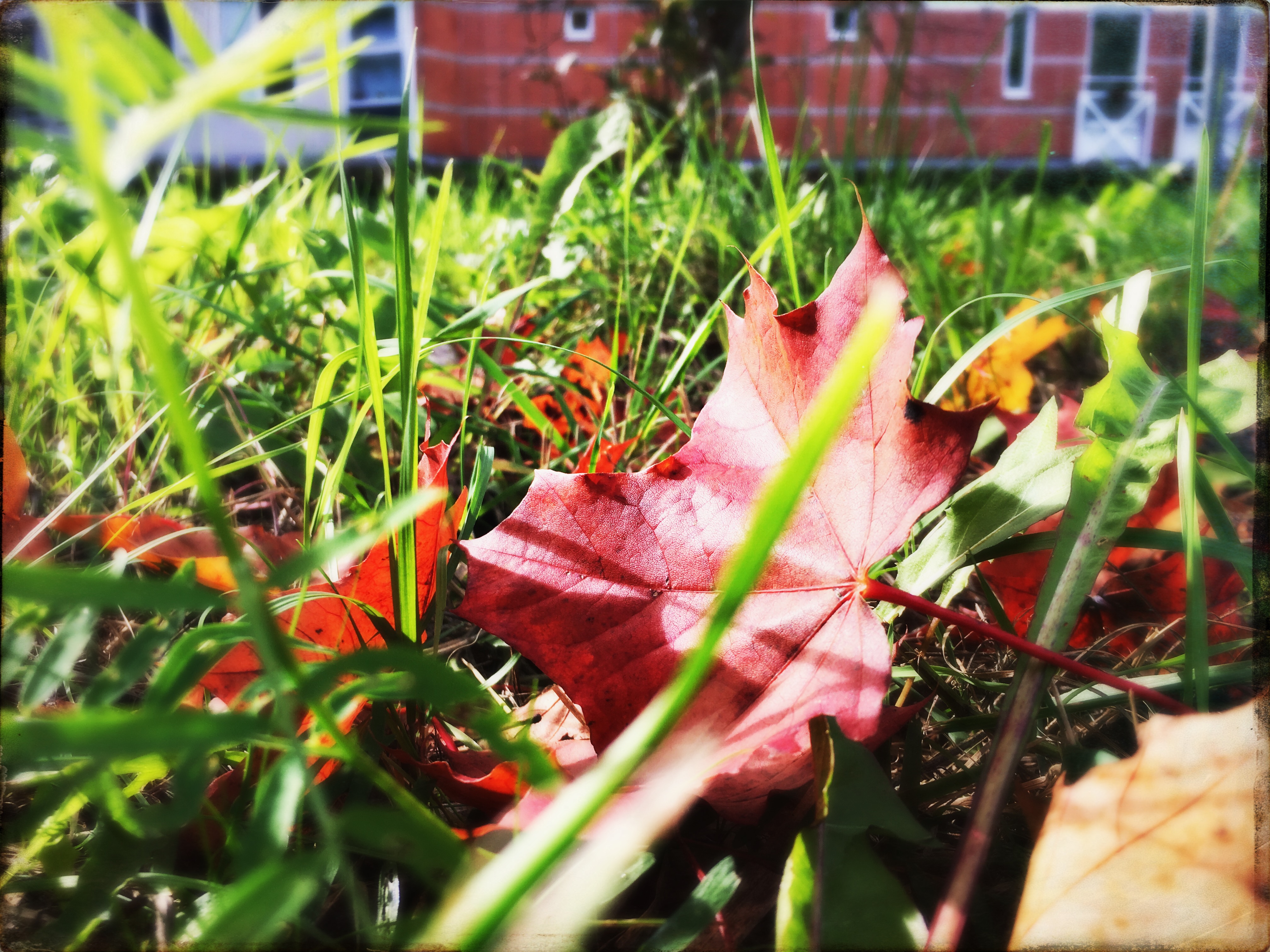 september