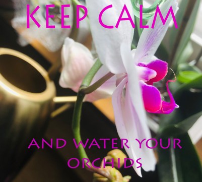 2020-03-15-13.24.08-1x