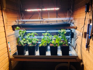 2020-04-11 15.24.13-1-1