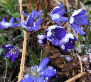 2020-04-14 19.51.51 (2)