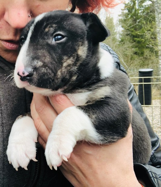 2020-04-26 14.09.38-1