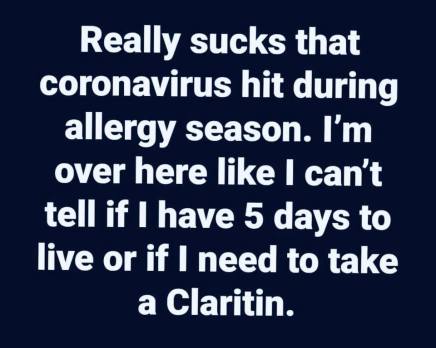 allergyseason