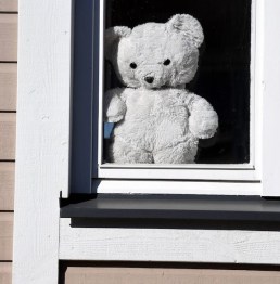 Koronavirus - Nallehaaste