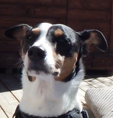 2020-04-19 12.50.28-1