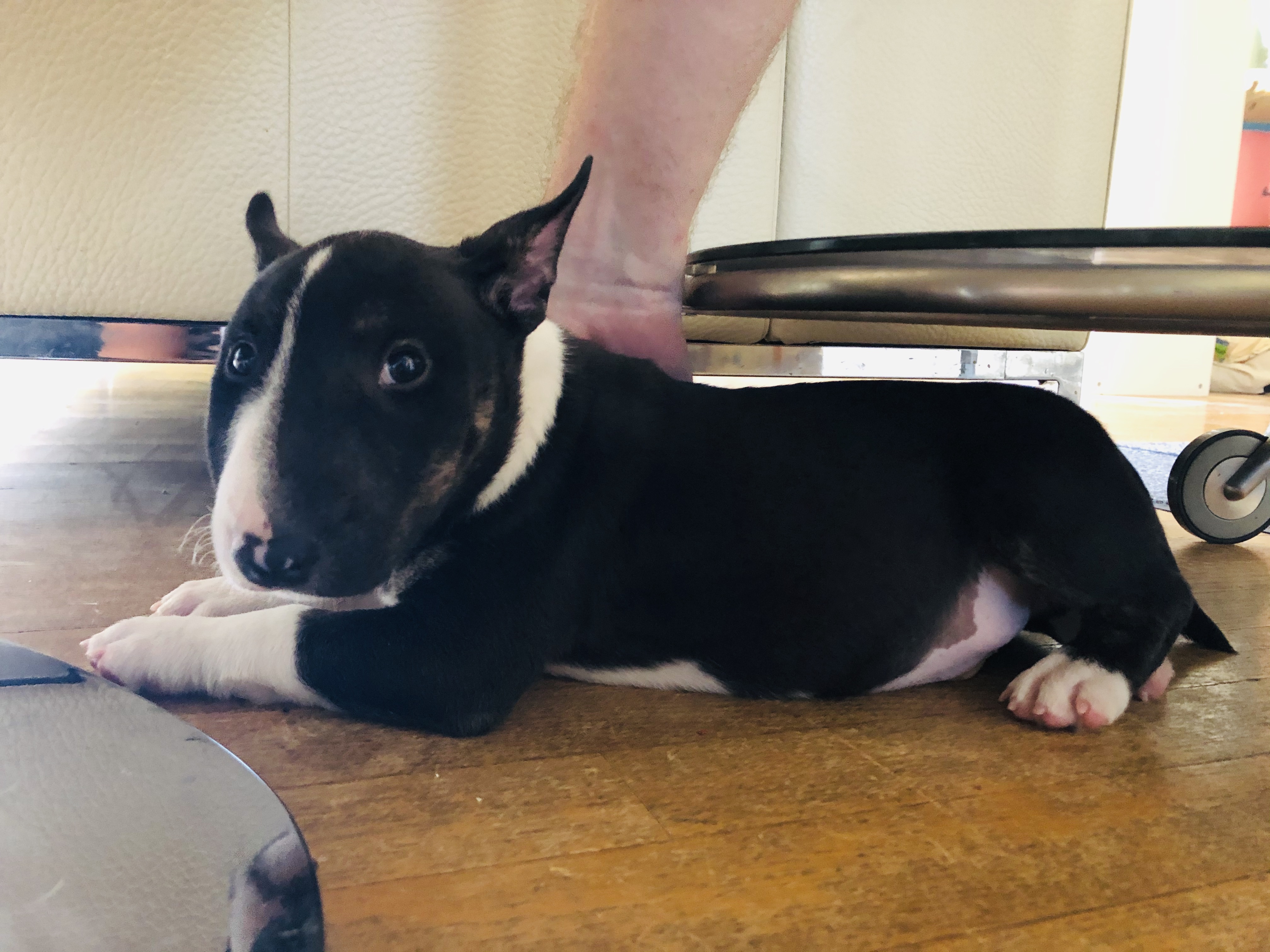 2020-05-21 16.01.17-1